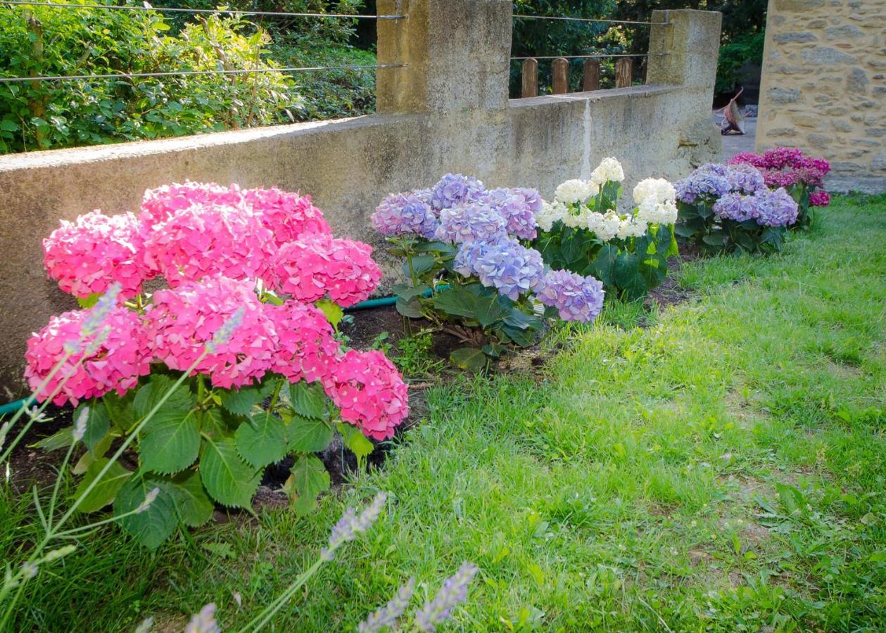 Saint-Alexandre La Jourdane B&B 객실 사진